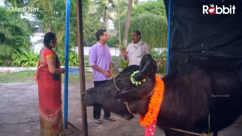 Thumbnail No 1 from Bhais Ki Vidai Episode 4.