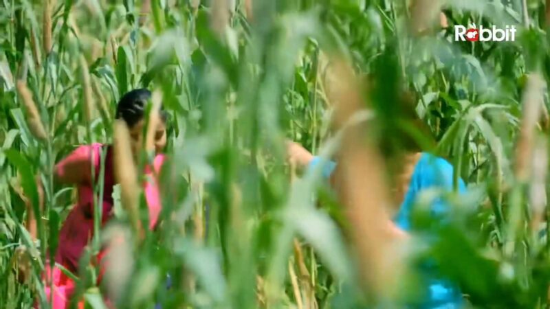 Thumbnail No 4 from Doctor Chaurasiya Episode 1.