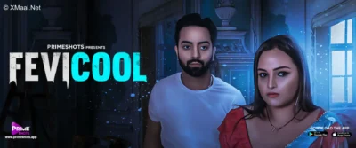 Fevicool S1 Web Series Poster